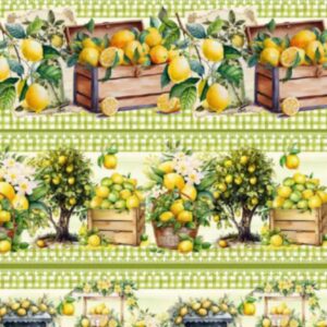 Limonada PM 0,55cmx1,50mt