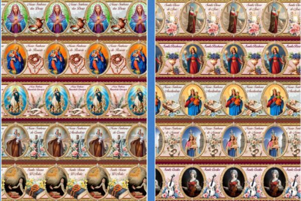 WhatsApp Image 2025-11-17 at 19.12.16 (3)