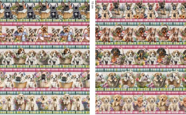 WhatsApp Image 2026-01-05 at 22.47.27 (2)