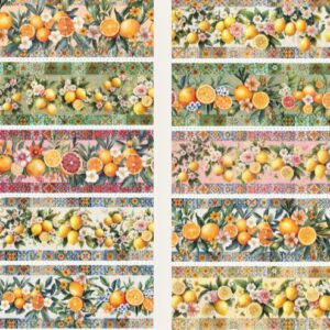 WhatsApp Image 2026-02-21 at 13.30.34